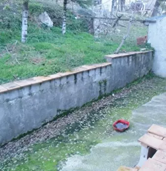 Foto annuncio 4