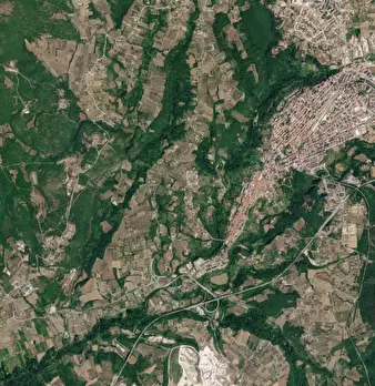 Foto annuncio 7
