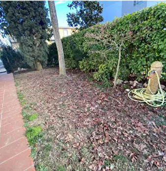 Foto annuncio 7