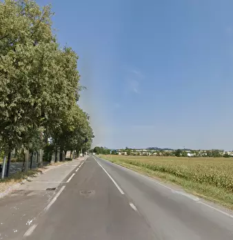 Foto annuncio 10