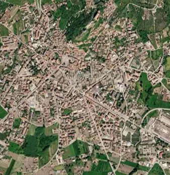Foto annuncio 9