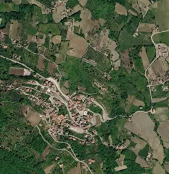 Foto annuncio 18