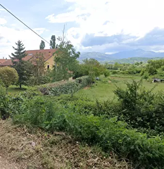 Foto annuncio 22