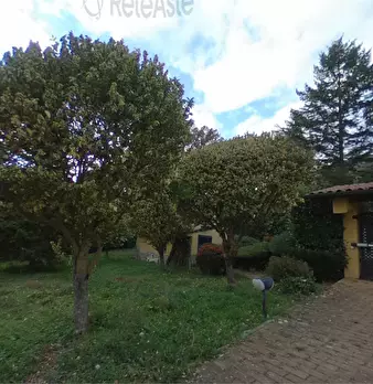 Foto annuncio 26