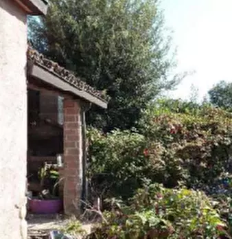 Foto annuncio 6