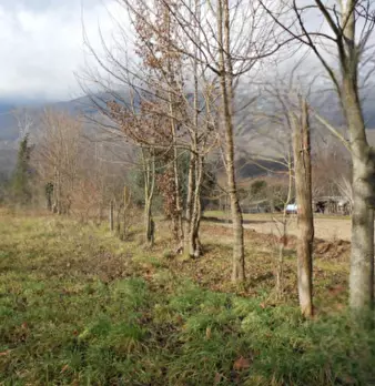 Foto annuncio 6