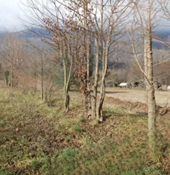 Foto annuncio 8