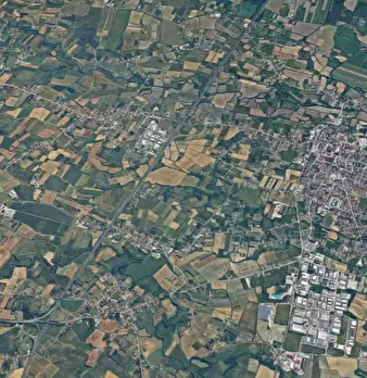 Foto annuncio 17