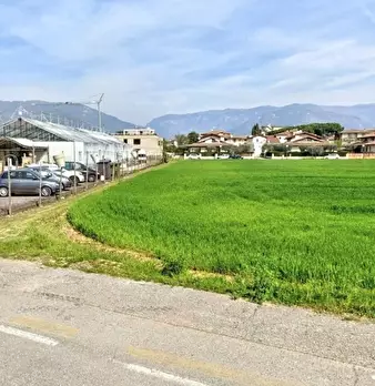 Foto annuncio 6
