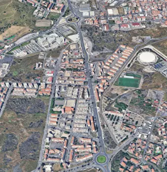 Foto annuncio 9