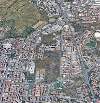 Foto annuncio 10