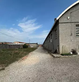 Foto annuncio 6