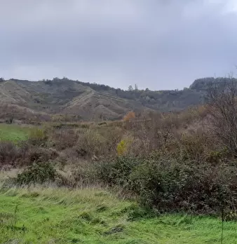 Foto annuncio 3