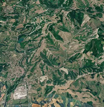 Foto annuncio 13
