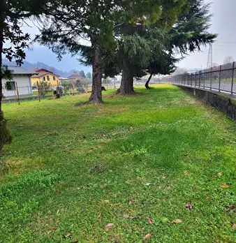 Foto annuncio 10