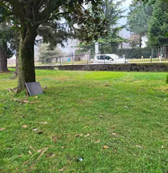 Foto annuncio 13