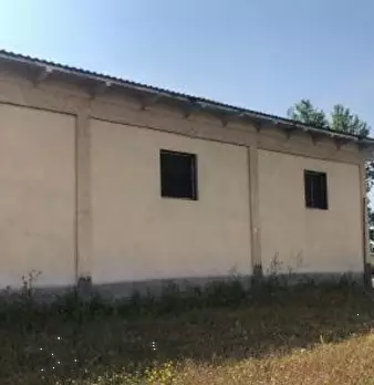 Foto annuncio 5