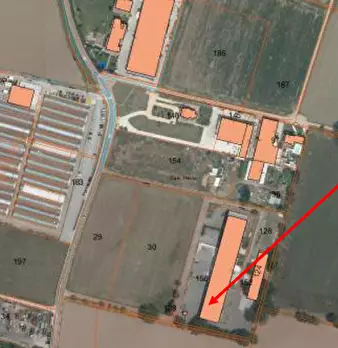 Foto annuncio 11