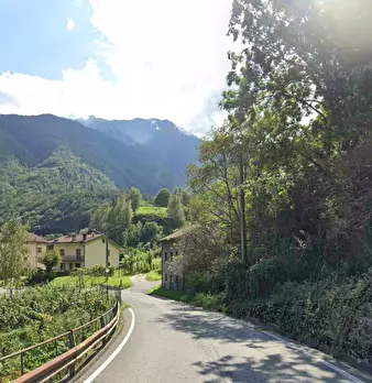 Foto annuncio 5