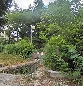 Foto annuncio 13