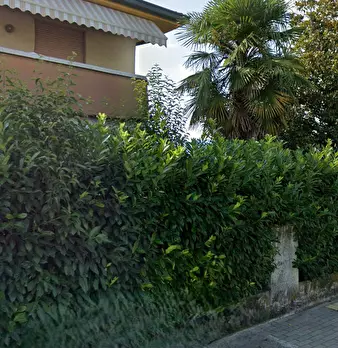 Foto annuncio 18