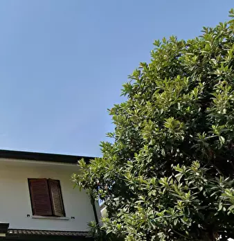 Foto annuncio 27