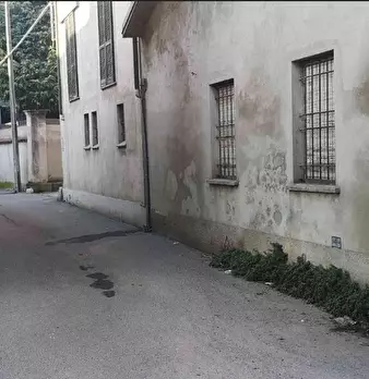 Foto annuncio 3
