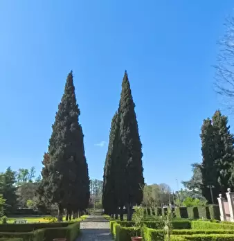 Foto annuncio 5