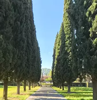 Foto annuncio 17