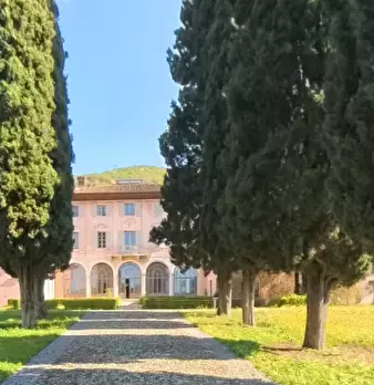 Foto annuncio 18