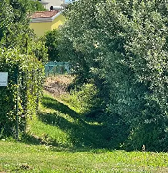 Foto annuncio 3