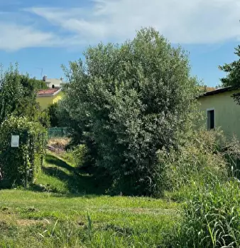 Foto annuncio 5