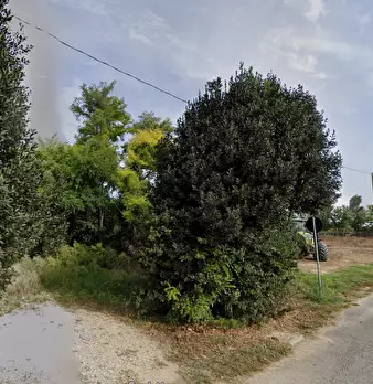 Foto annuncio 7