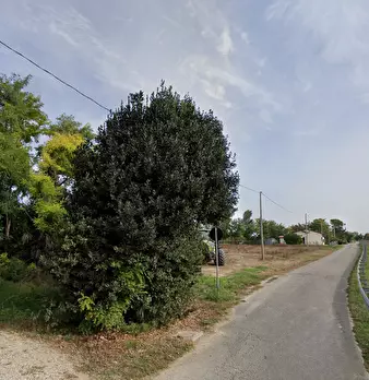 Foto annuncio 8