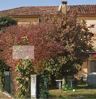 Foto annuncio 8