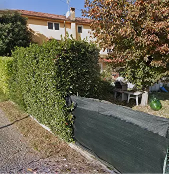 Foto annuncio 15