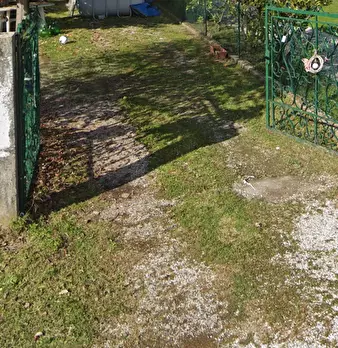 Foto annuncio 18