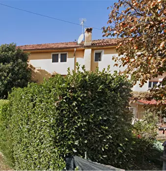 Foto annuncio 30