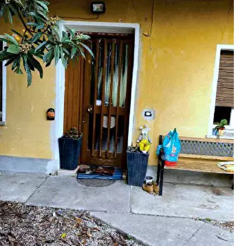 Foto annuncio 31