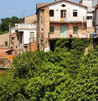Foto annuncio 18