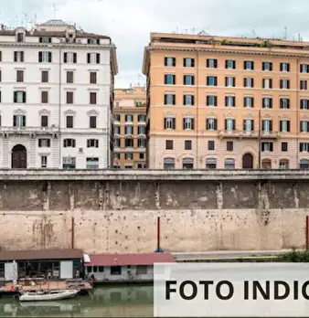 Foto annuncio 19