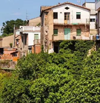 Foto annuncio 21