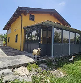 Foto annuncio 5