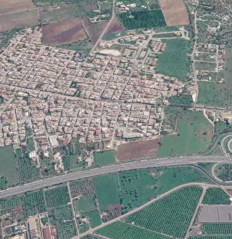 Foto annuncio 10