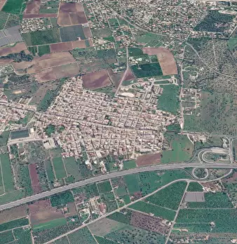 Foto annuncio 11