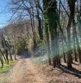 Foto annuncio 6