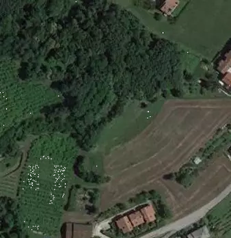 Foto annuncio 10