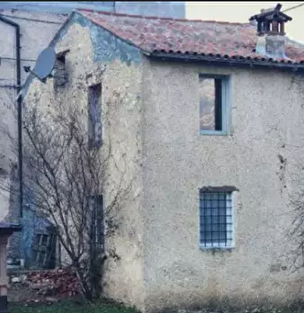 Foto annuncio 5