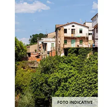 Foto annuncio 22