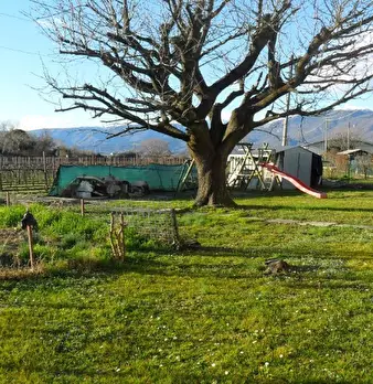 Foto annuncio 3